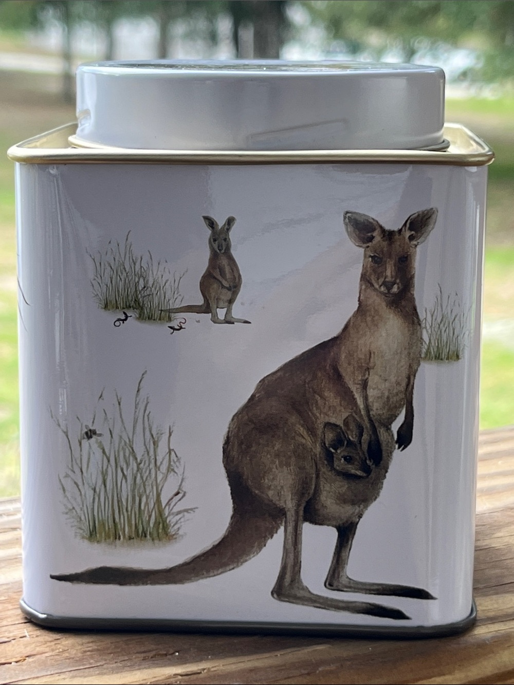 TINCO Australian Wildlife Tea Caddy Tin